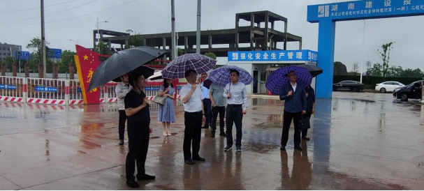 省国资委副主任张翔调研BEATS365永兴基地